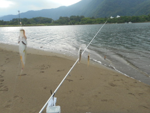 DSCN0769