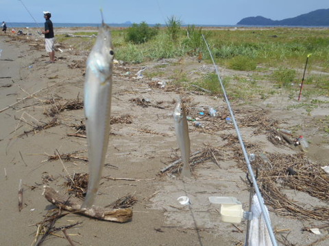 DSCN0844