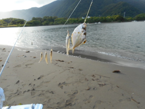 DSCN0749
