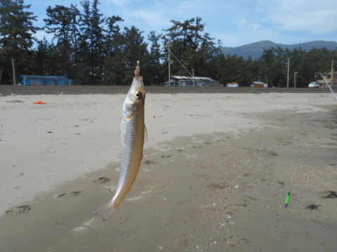 DSCN0942