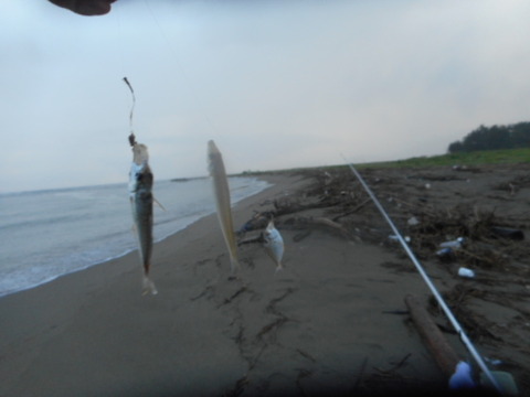 DSCN0818