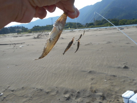DSCN0719