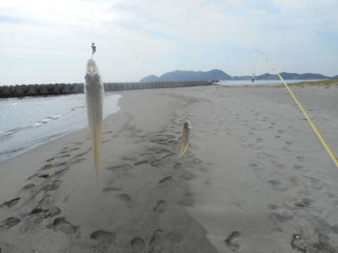 DSCN0870