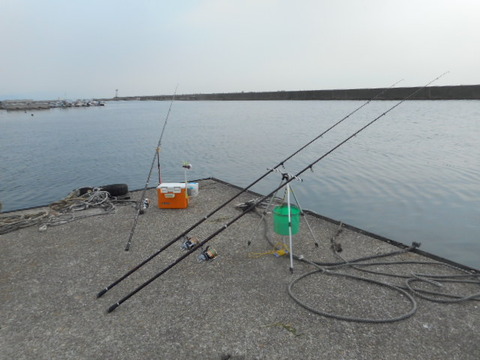 DSCN0678