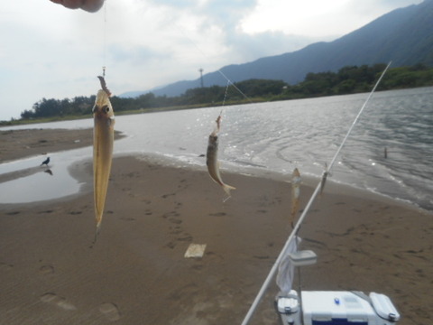 DSCN0780