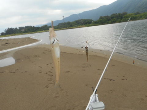 DSCN0770