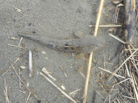 DSCN0821