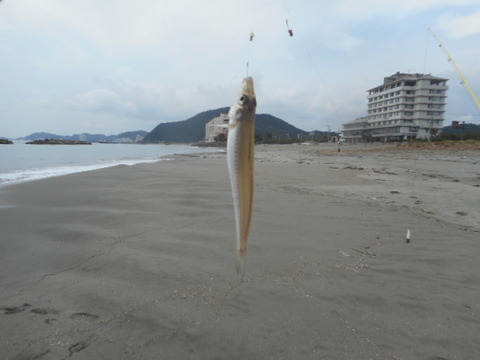 DSCN1136