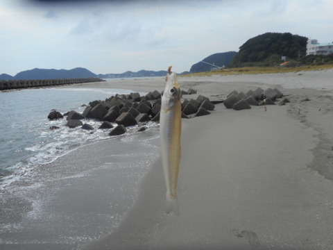 DSCN0873
