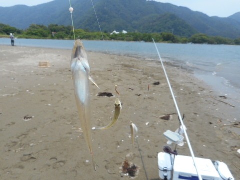 DSCN0739