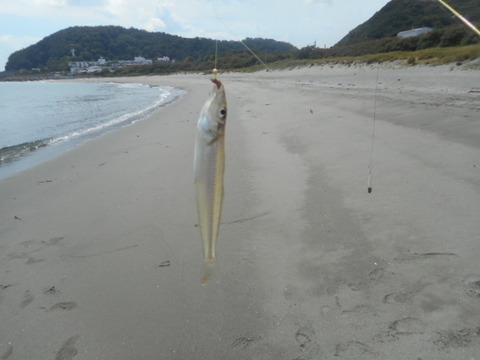 DSCN0874