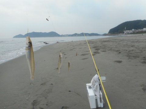 DSCN0802