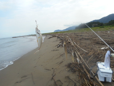 DSCN0826