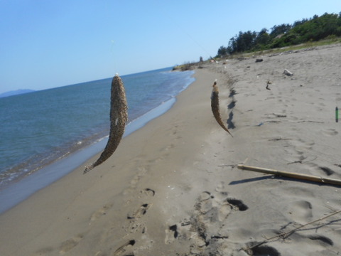 DSCN0967