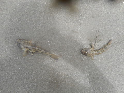 DSCN0764