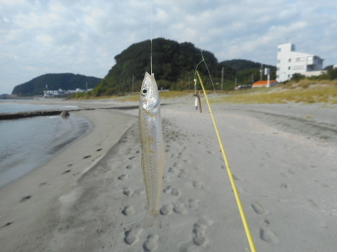 DSCN0865