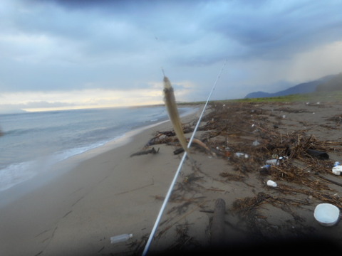 DSCN0820