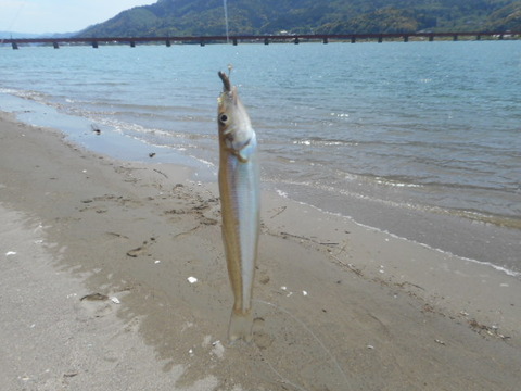 DSCN0950