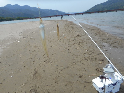 DSCN0731