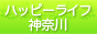 �ϥåԡ��饤�ե��롼�׿�����