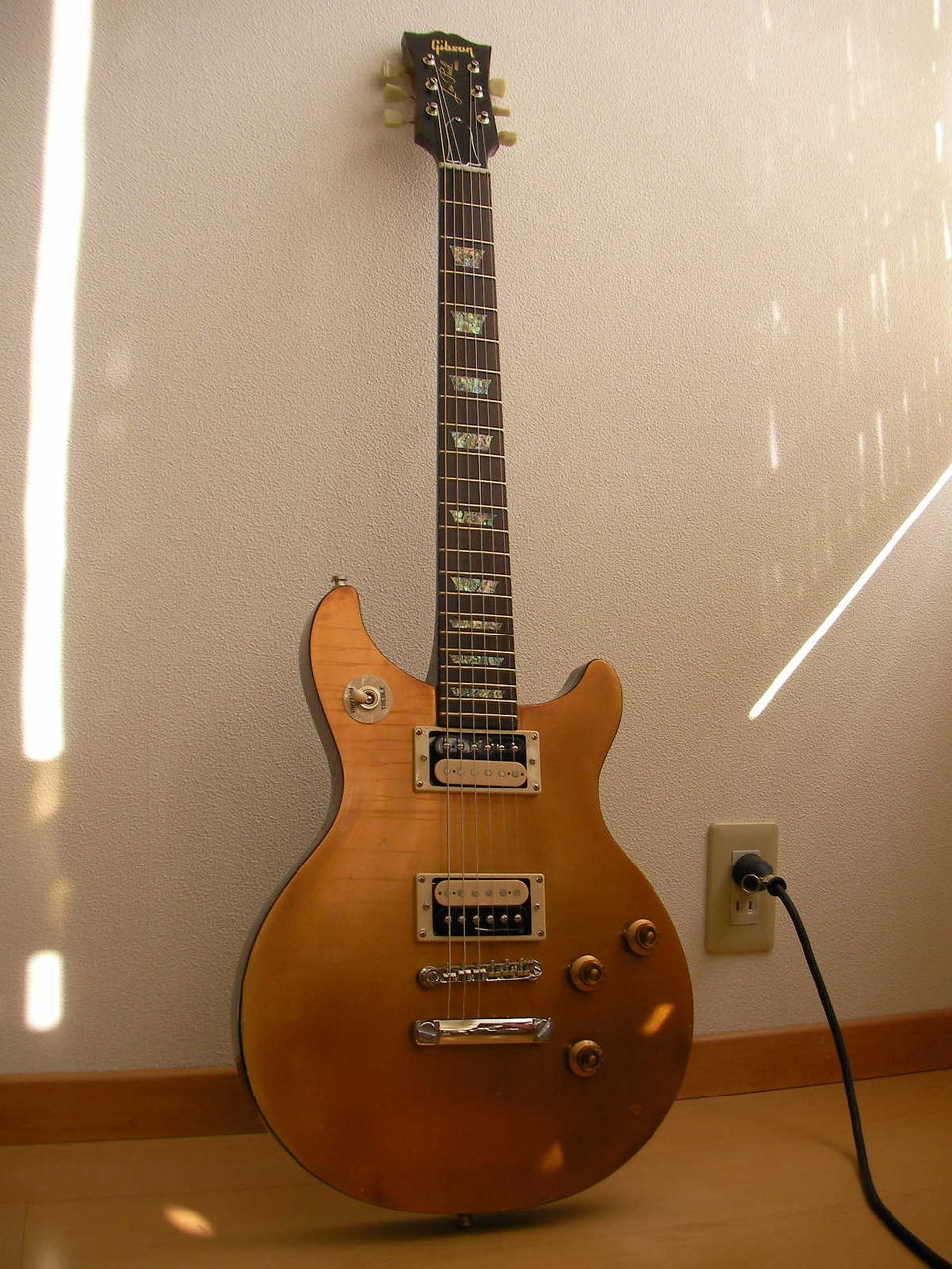 12010105