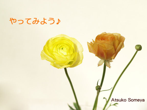 P1250288b