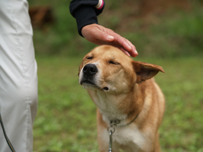 こじろう