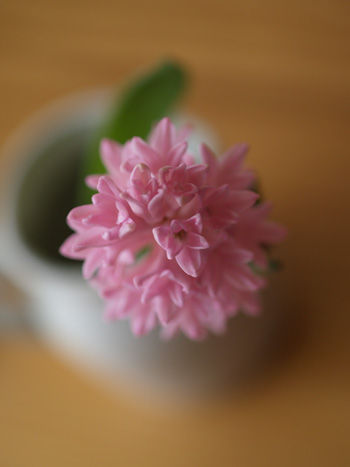 P1194253