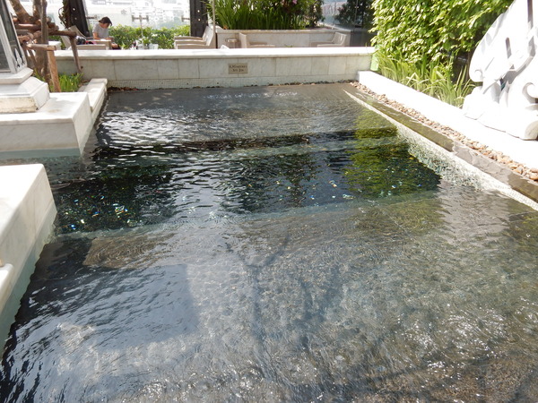 DSCN7779