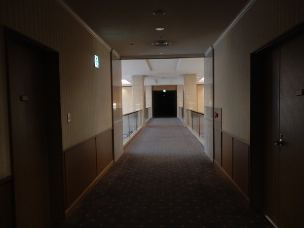 DSCN8247