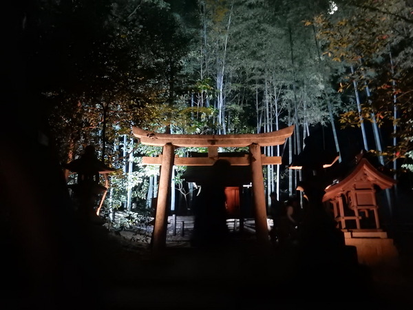 DSCN8726