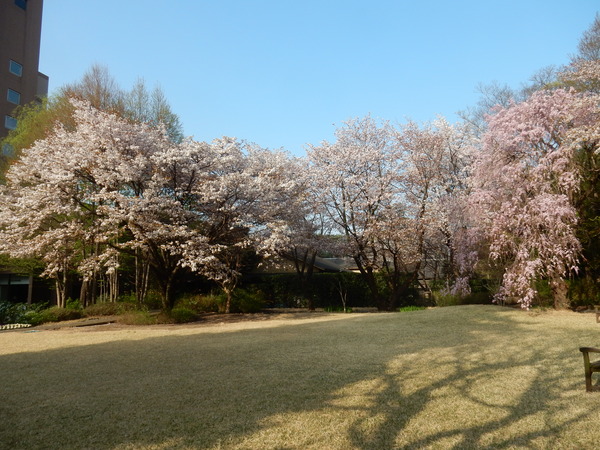 DSCN8299