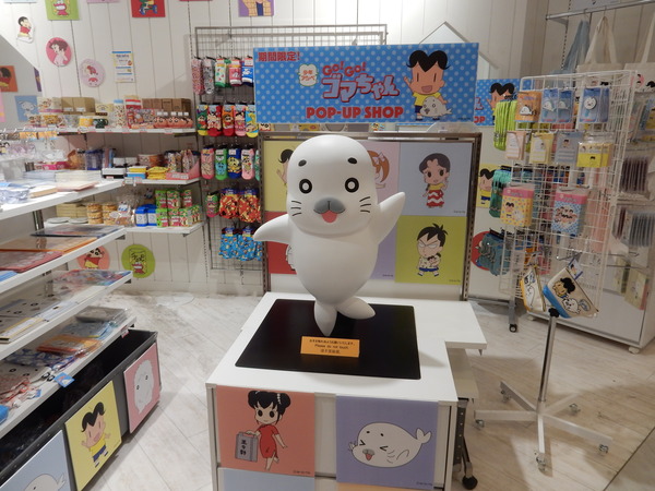 DSCN3703