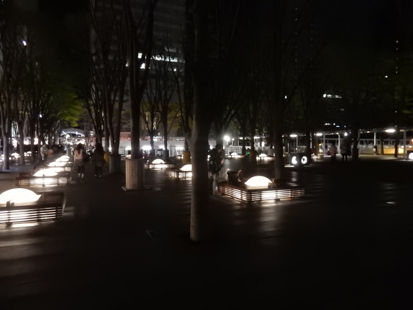 DSCN8312