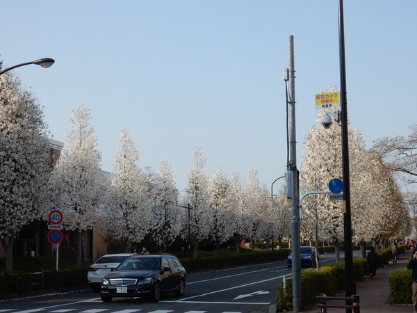 DSCN8053