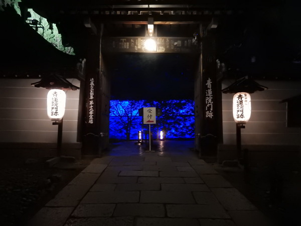 DSCN8675