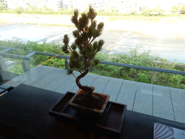 DSCN9286