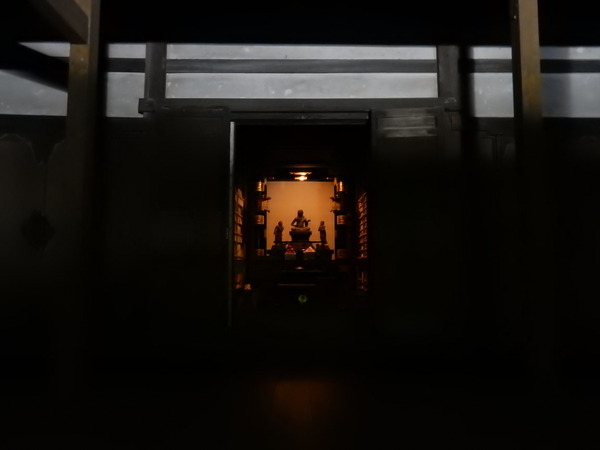 DSCN8737