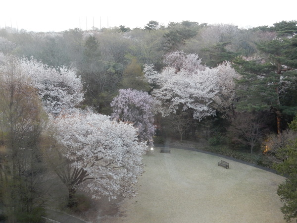 DSCN8134