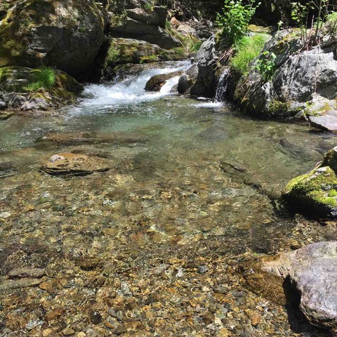 IMG_2010