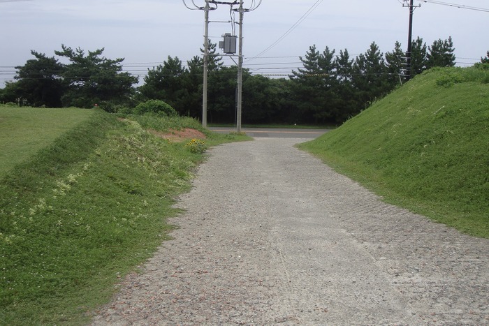 DSC01134