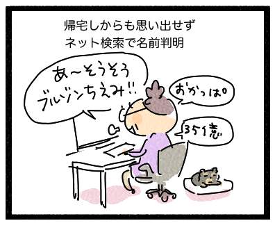 言い訳2