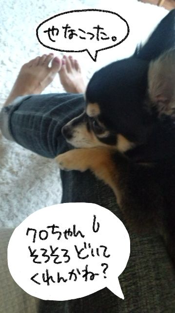 $あつをの4コマ漫画:ねりきり.おはぎ.さくらもち