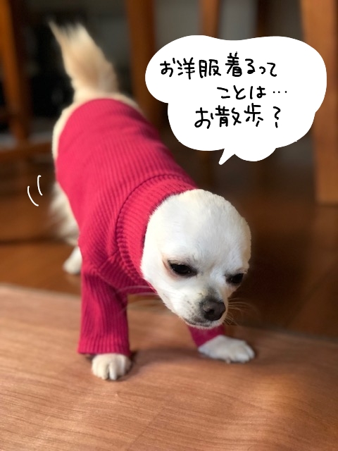 寒がり1