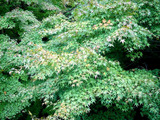 fb4772e6.jpg