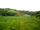 53a7da07.jpg