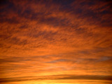 5f11f017.jpg