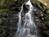 d1b193d9.jpg