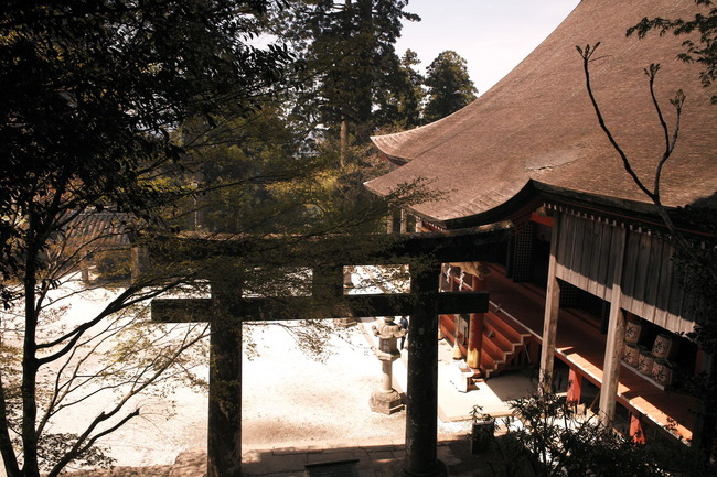 SDIM1321