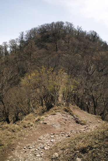 SDIM1323